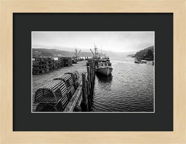 Harbor Serenity In Black And White