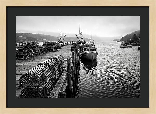 Harbor Serenity In Black And White
