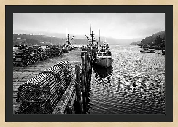 Harbor Serenity In Black And White