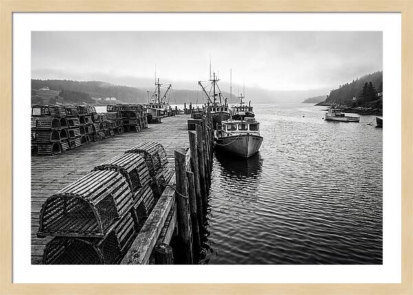 Harbor Serenity In Black And White