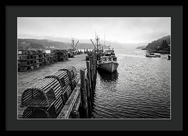 Harbor Serenity In Black And White