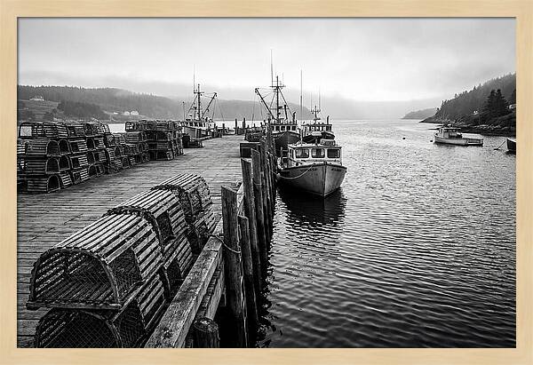Harbor Serenity In Black And White