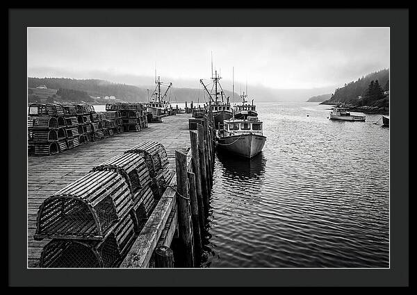 Harbor Serenity In Black And White