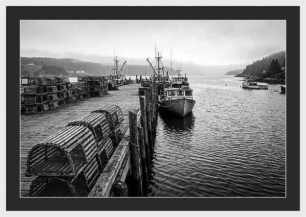 Harbor Serenity In Black And White