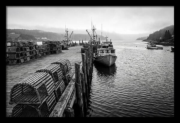 Harbor Serenity In Black And White
