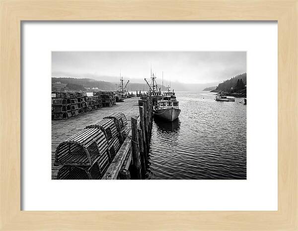 Harbor Serenity In Black And White