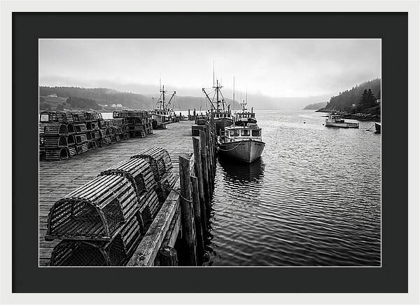 Harbor Serenity In Black And White