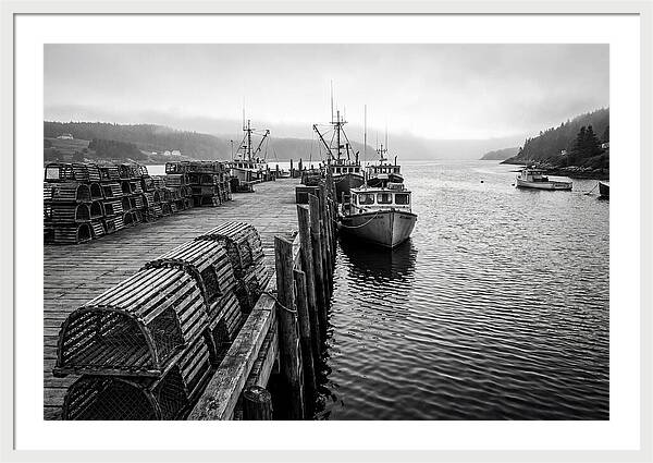 Harbor Serenity In Black And White