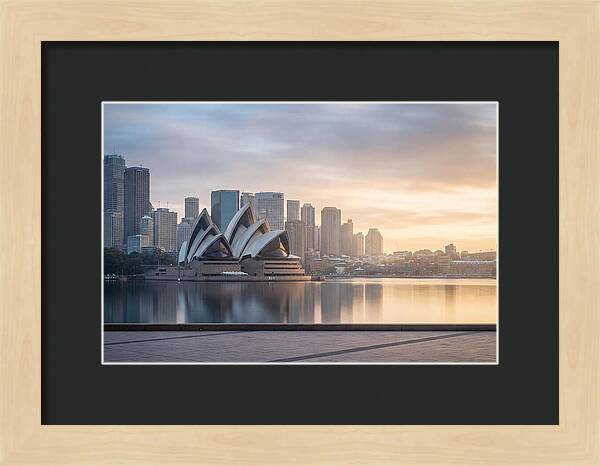 Harbour City Serenity