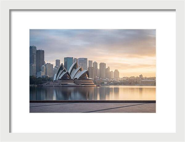 Harbour City Serenity