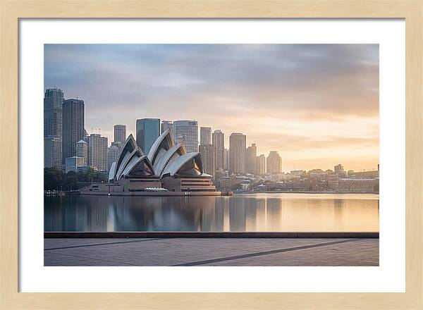 Harbour City Serenity