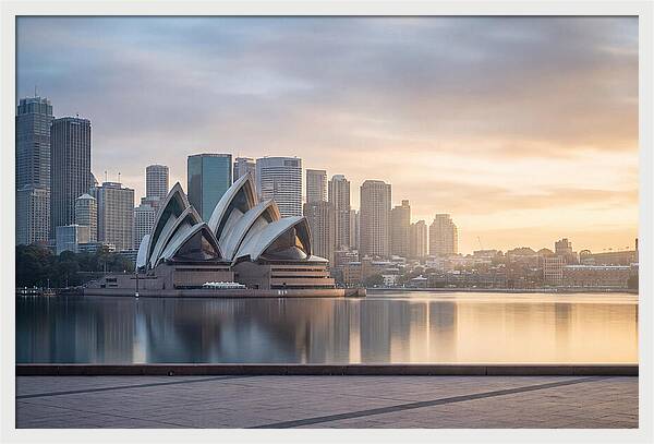 Harbour City Serenity