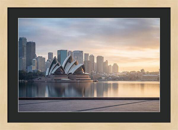 Harbour City Serenity