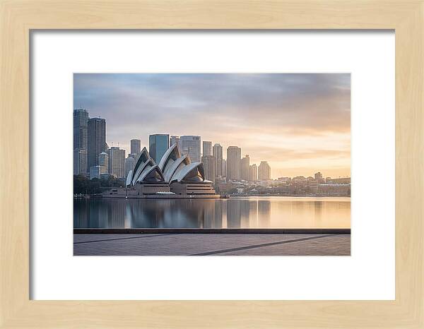 Harbour City Serenity