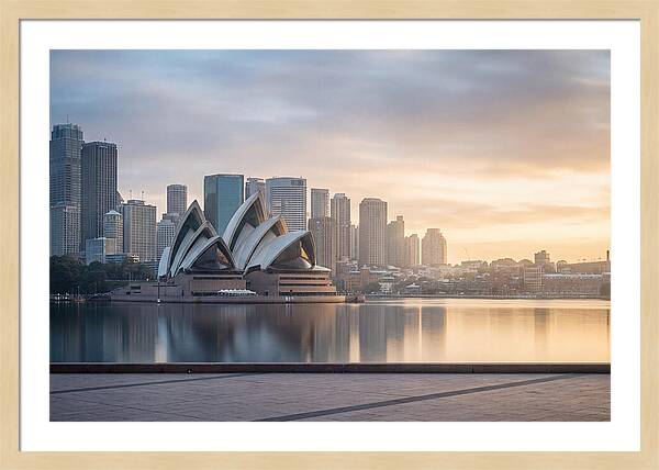 Harbour City Serenity