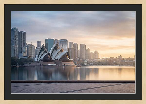 Harbour City Serenity