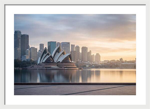 Harbour City Serenity