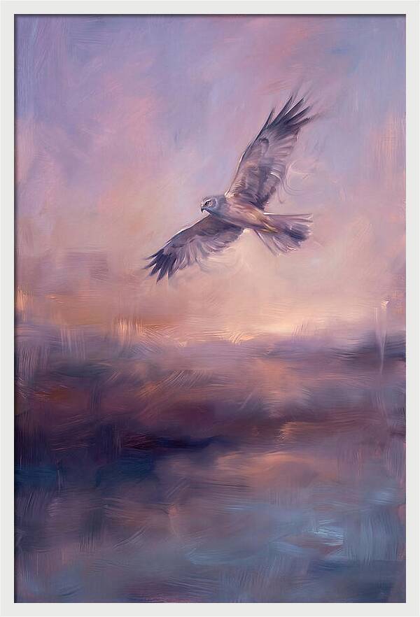 Harrier In Flight