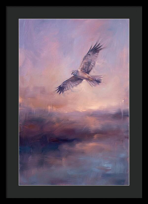 Harrier In Flight