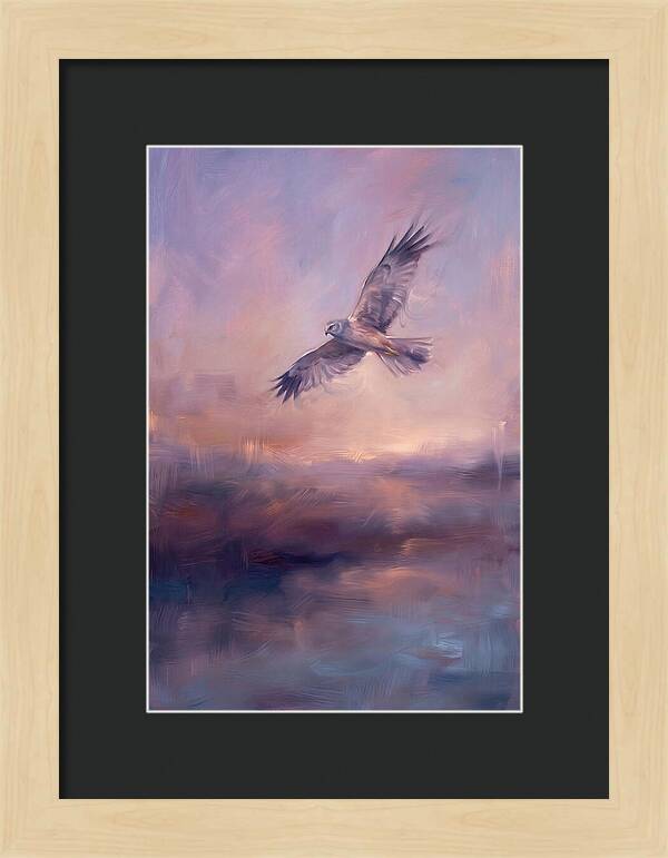 Harrier In Flight