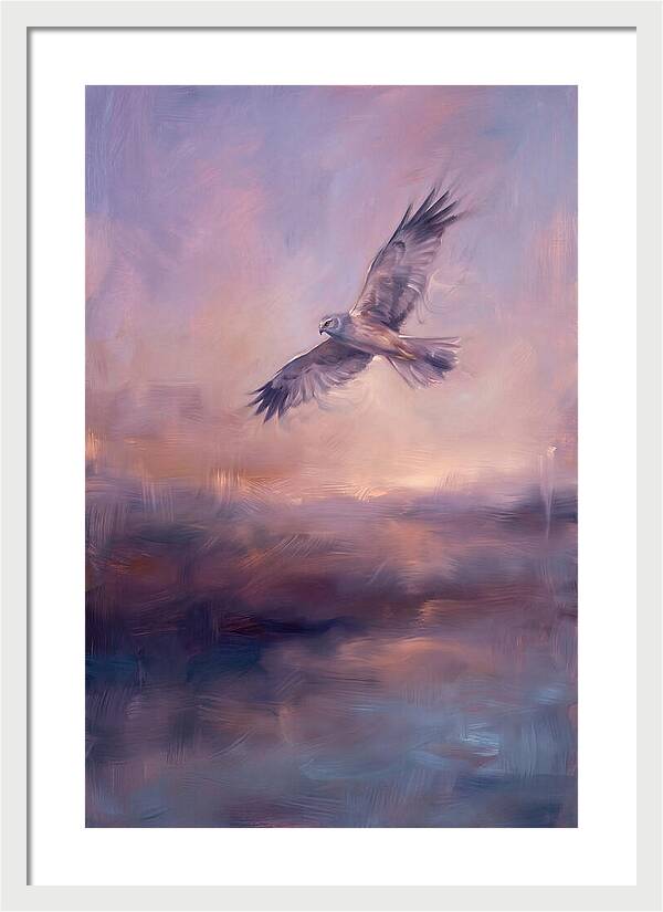 Harrier In Flight