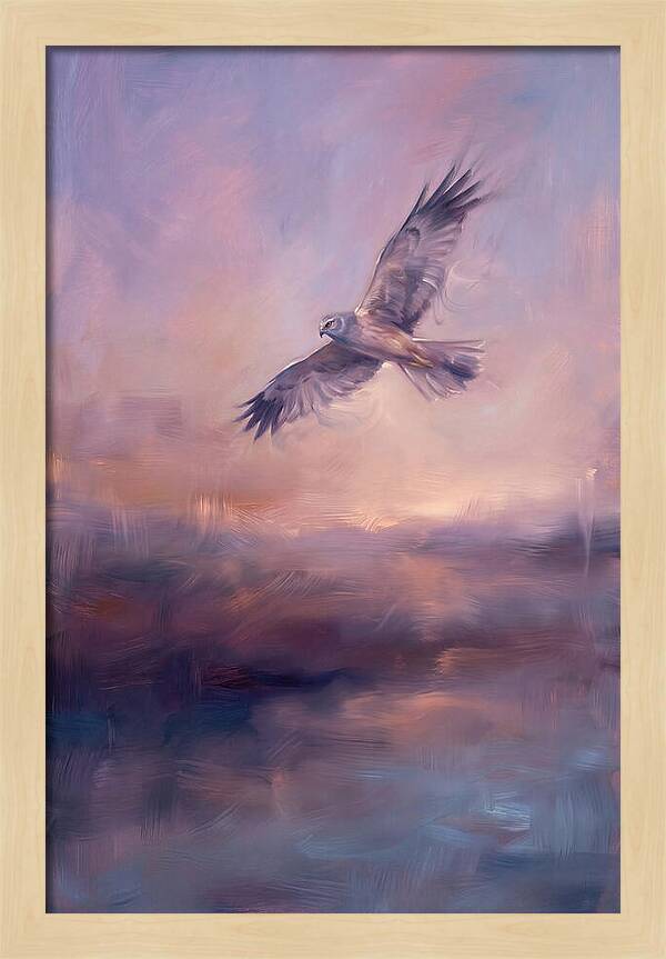 Harrier In Flight