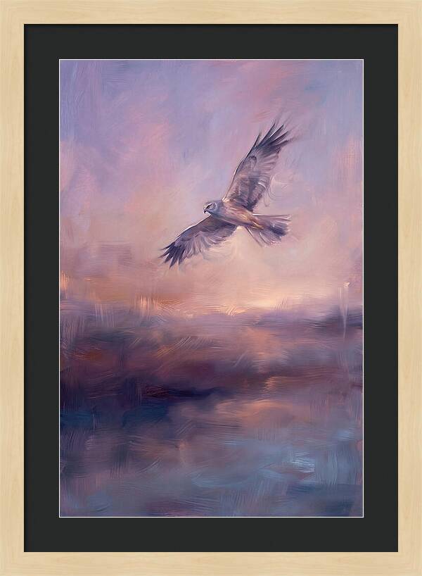 Harrier In Flight