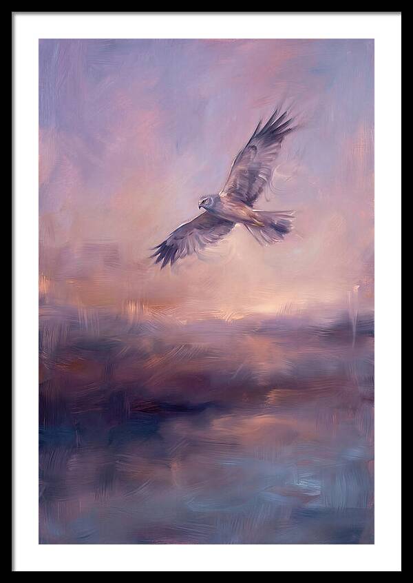 Harrier In Flight