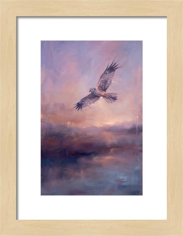 Harrier In Flight