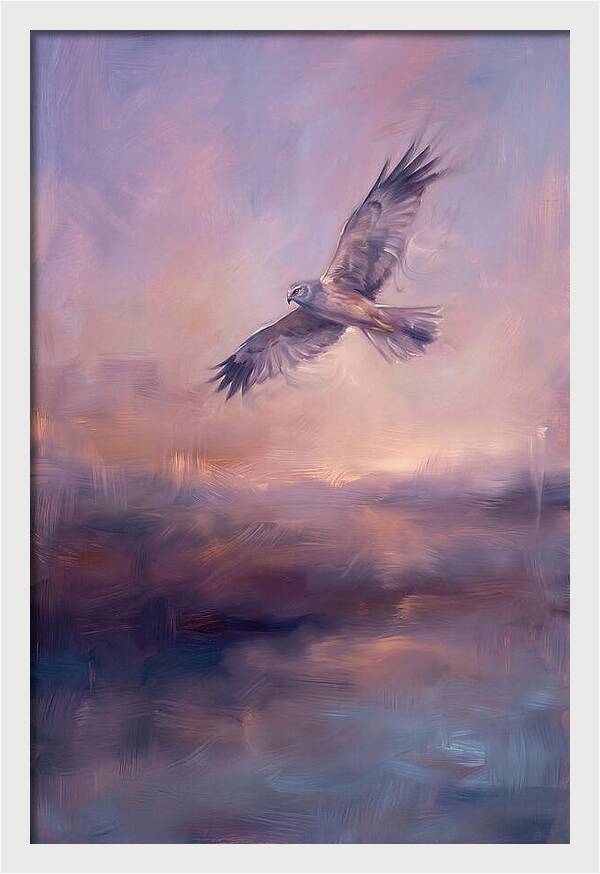 Harrier In Flight