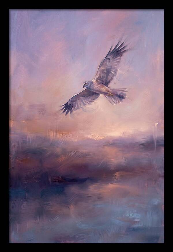 Harrier In Flight