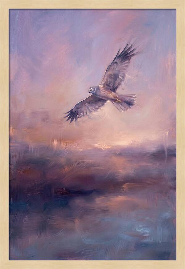 Harrier In Flight