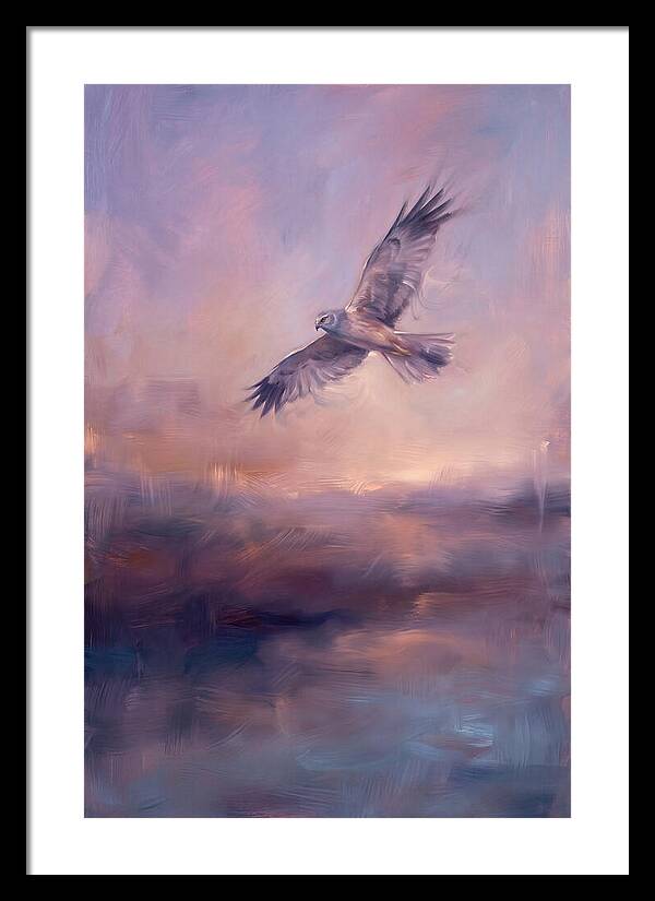 Harrier In Flight
