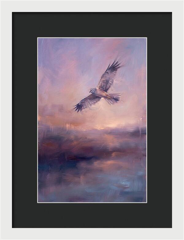 Harrier In Flight