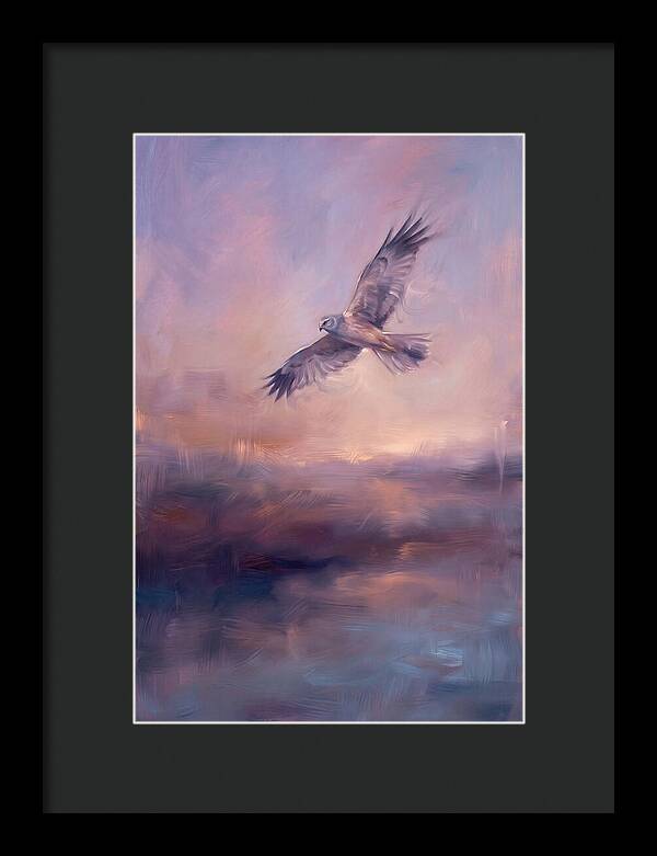 Harrier In Flight