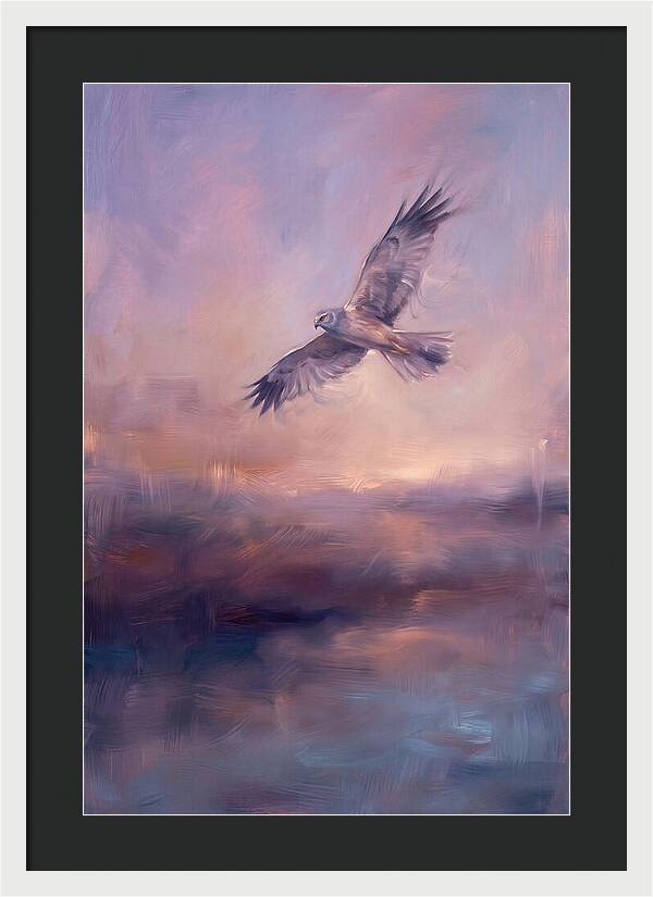 Harrier In Flight