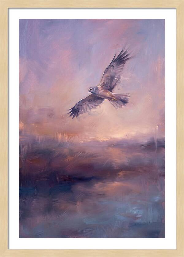 Harrier In Flight