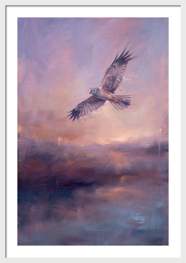 Harrier In Flight