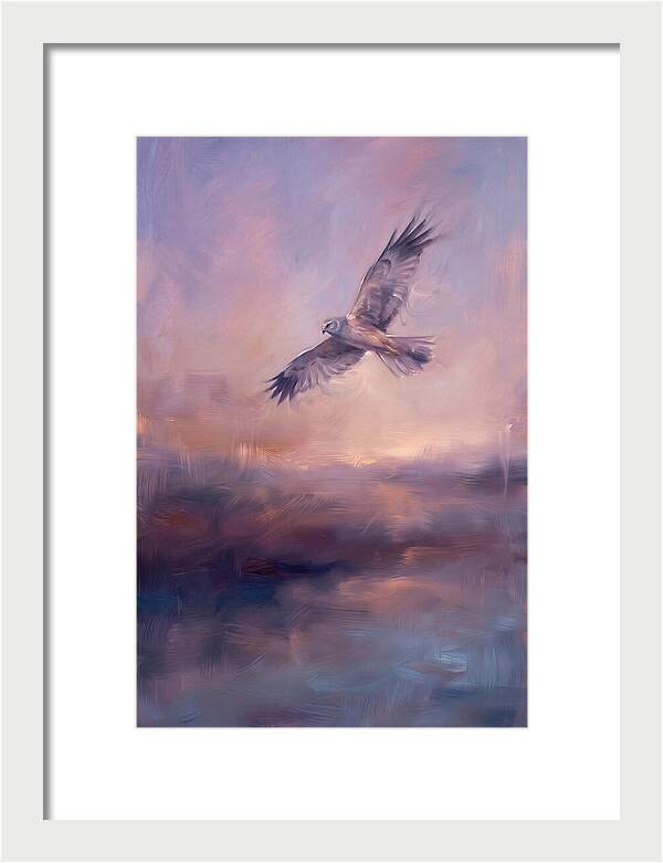 Harrier In Flight