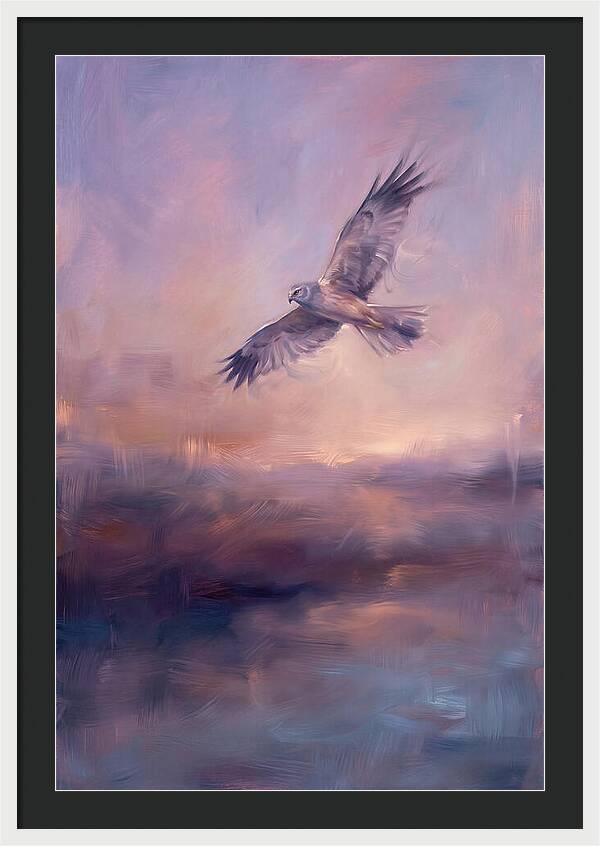 Harrier In Flight
