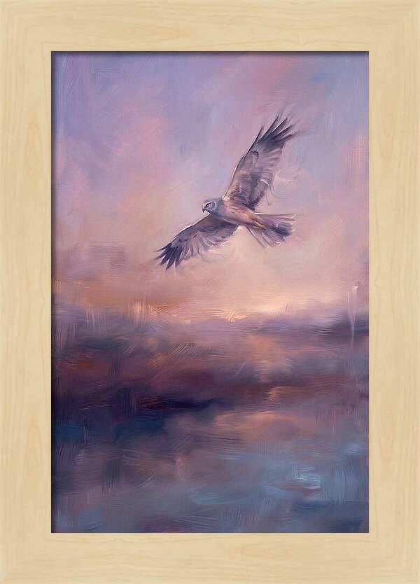 Harrier In Flight
