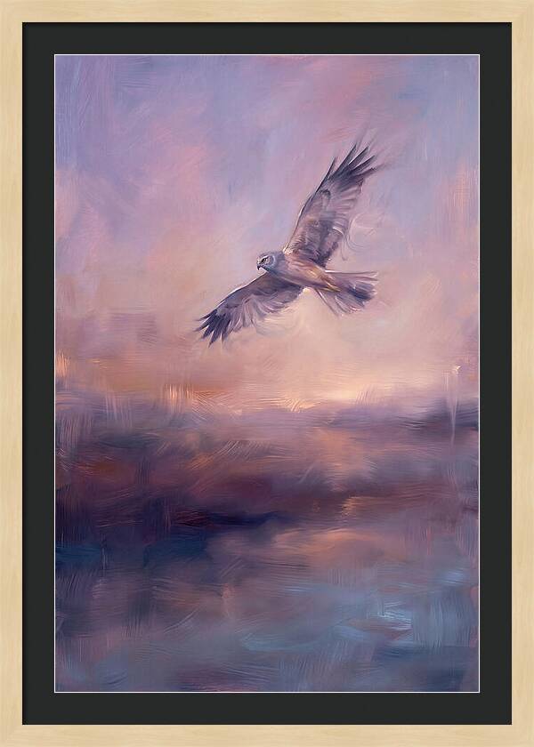 Harrier In Flight