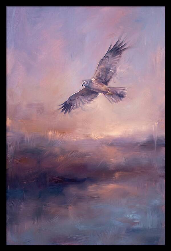 Harrier In Flight