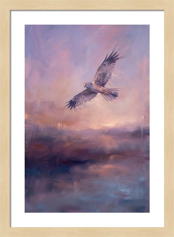 Harrier In Flight