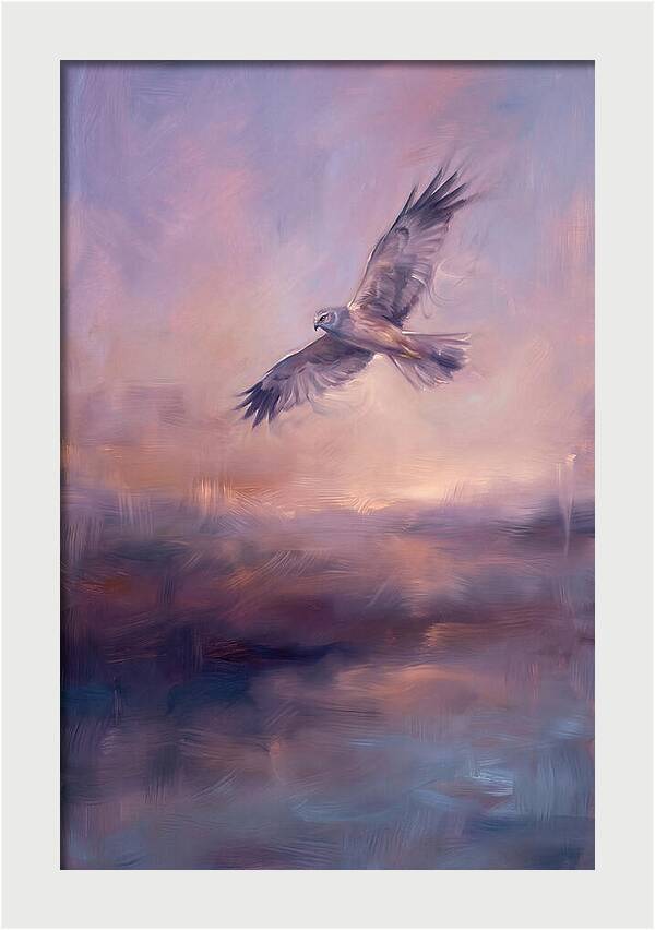 Harrier In Flight