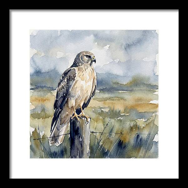 Harrier Perched In Nature