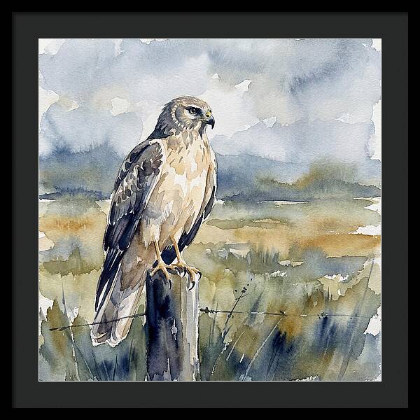 Harrier Perched In Nature
