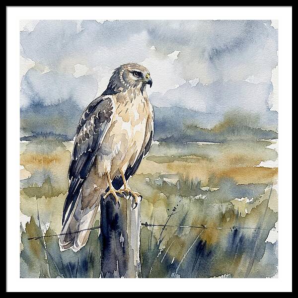 Harrier Perched In Nature