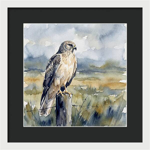 Harrier Perched In Nature