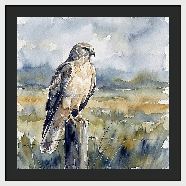 Harrier Perched In Nature